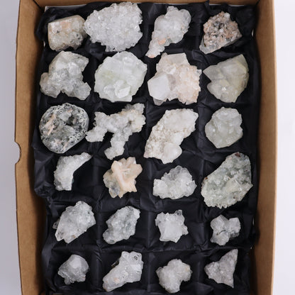 Apophyllite Clusters Flat of 24 - Expert Wholesale and Supplier of Wholesale Crystals & Bulk Gemstones, ["Apophyllite","close_50","Clusters","Flats"]