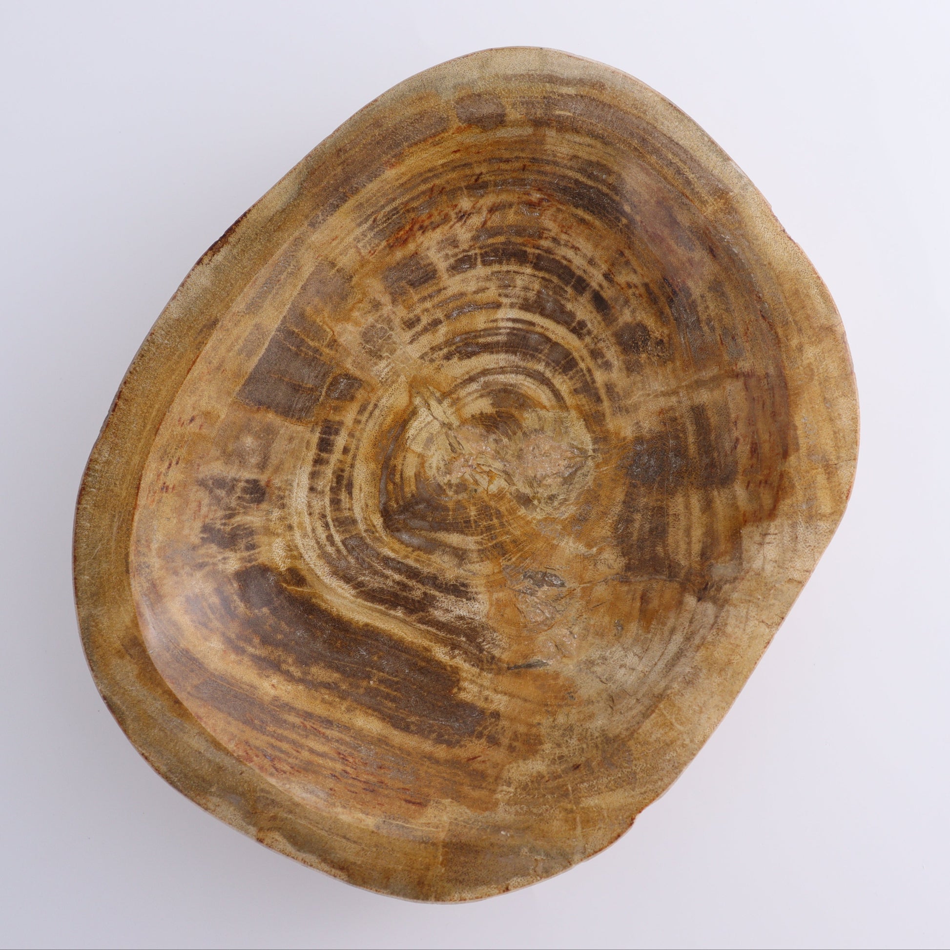 Petrified Wood Bowl - Expert Wholesale and Supplier of Wholesale Crystals & Bulk Gemstones, ["Bowls","Indonesia","Petrified Wood"]