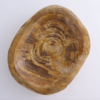 Petrified Wood Bowl - Expert Wholesale and Supplier of Wholesale Crystals & Bulk Gemstones, ["Bowls","Indonesia","Petrified Wood"]
