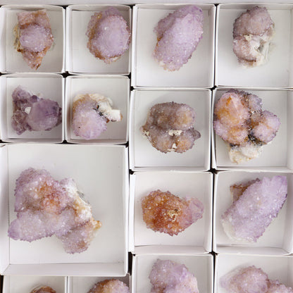 Cactus Quartz Set of 19