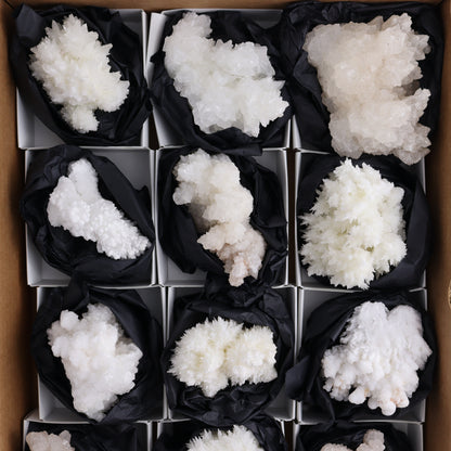 Aragonite Clusters Set of 12 - Expert Wholesale and Supplier of Wholesale Crystals & Bulk Gemstones, ["aragonite","Clusters","Freeforms","Mexico"]