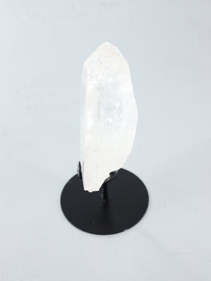 Lemurian on Pin - Expert Vendor of Wholesale Crystals