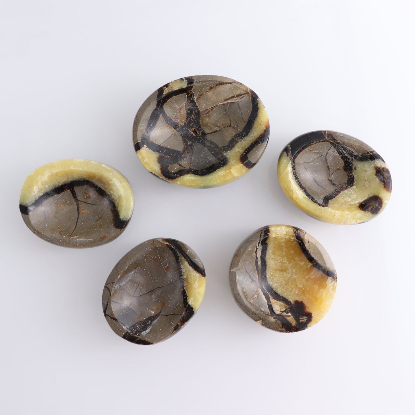 Septarian Bowls Set of 5
