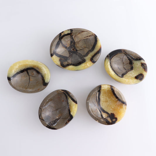 Septarian Bowls Set of 5
