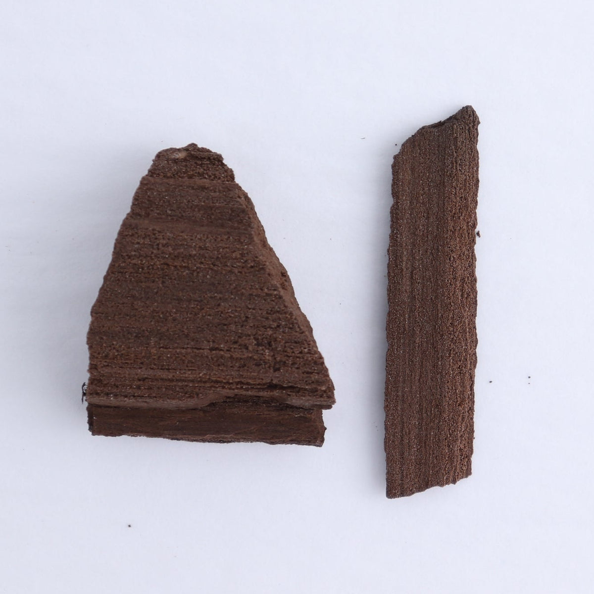 Permineralized Wood Flat of 6