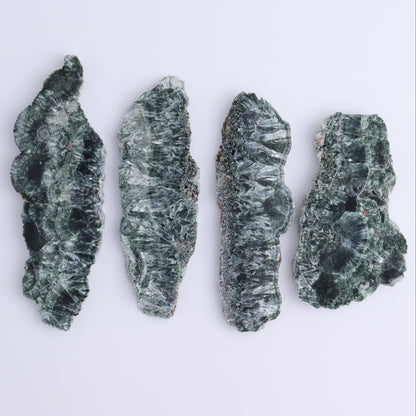 Seraphinite Slices Set of 4 - Expert Wholesale and Supplier of Wholesale Crystals & Bulk Gemstones, ["Seraphinite","Slices and Slabs"]