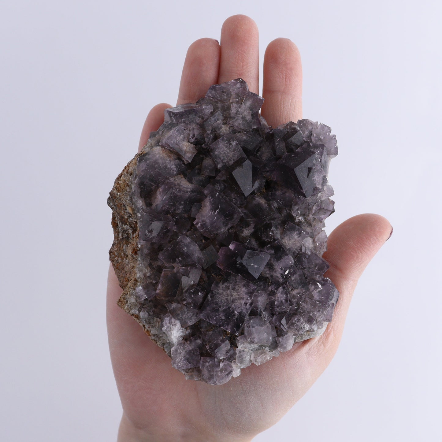 Fluorite Purple Rain Pocket Set of 8 - Expert Wholesale and Supplier of Wholesale Crystals & Bulk Gemstones, ["close_50","England","Fluorite","Purple Rain Pocket","Rough"]