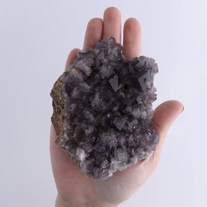 Fluorite Purple Rain Pocket Set of 8 - Expert Wholesale and Supplier of Wholesale Crystals & Bulk Gemstones, ["close_50","England","Fluorite","Purple Rain Pocket","Rough"]