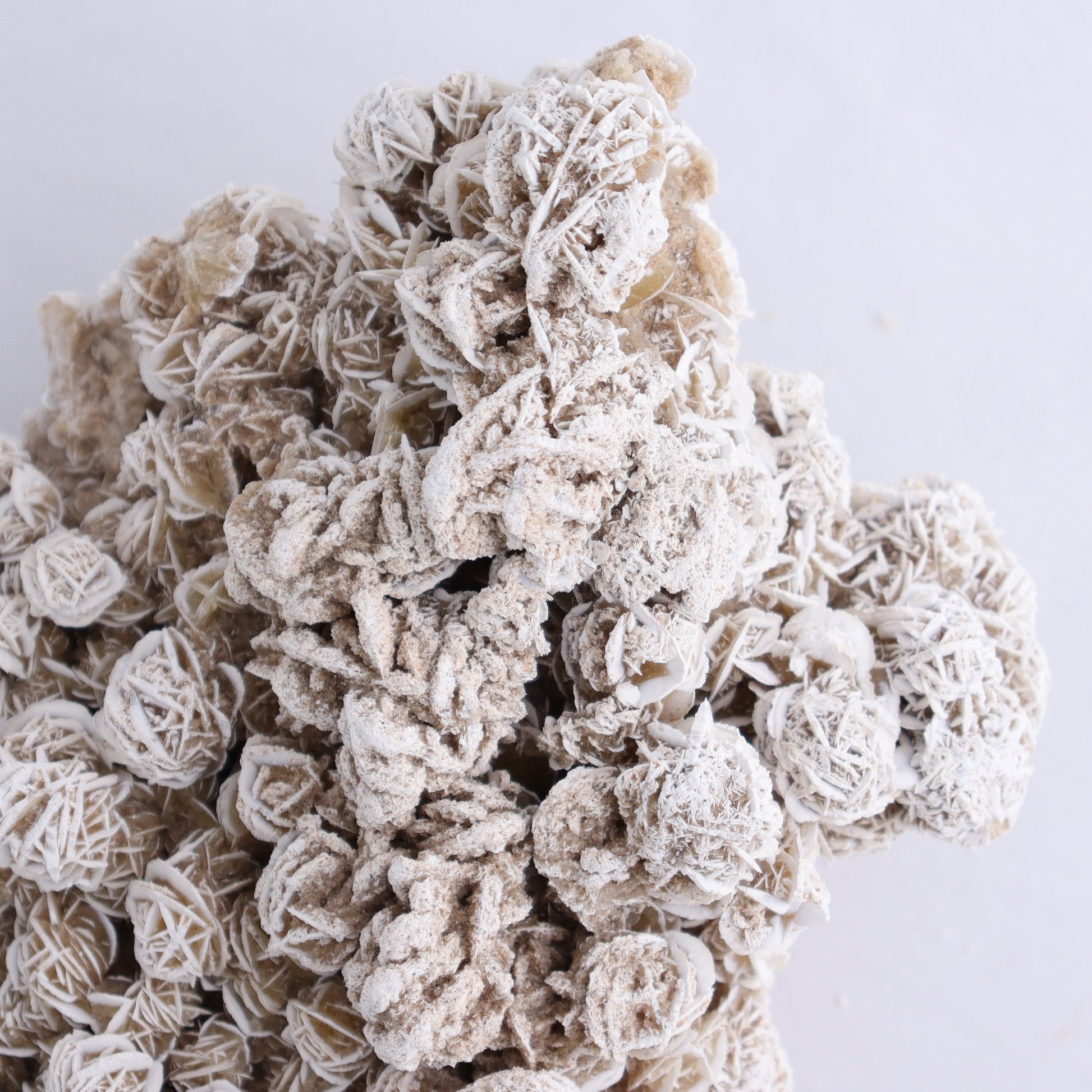 Desert Rose Cluster - Expert Wholesale and Supplier of Wholesale Crystals & Bulk Gemstones, ["Desert Rose","Freeforms"]