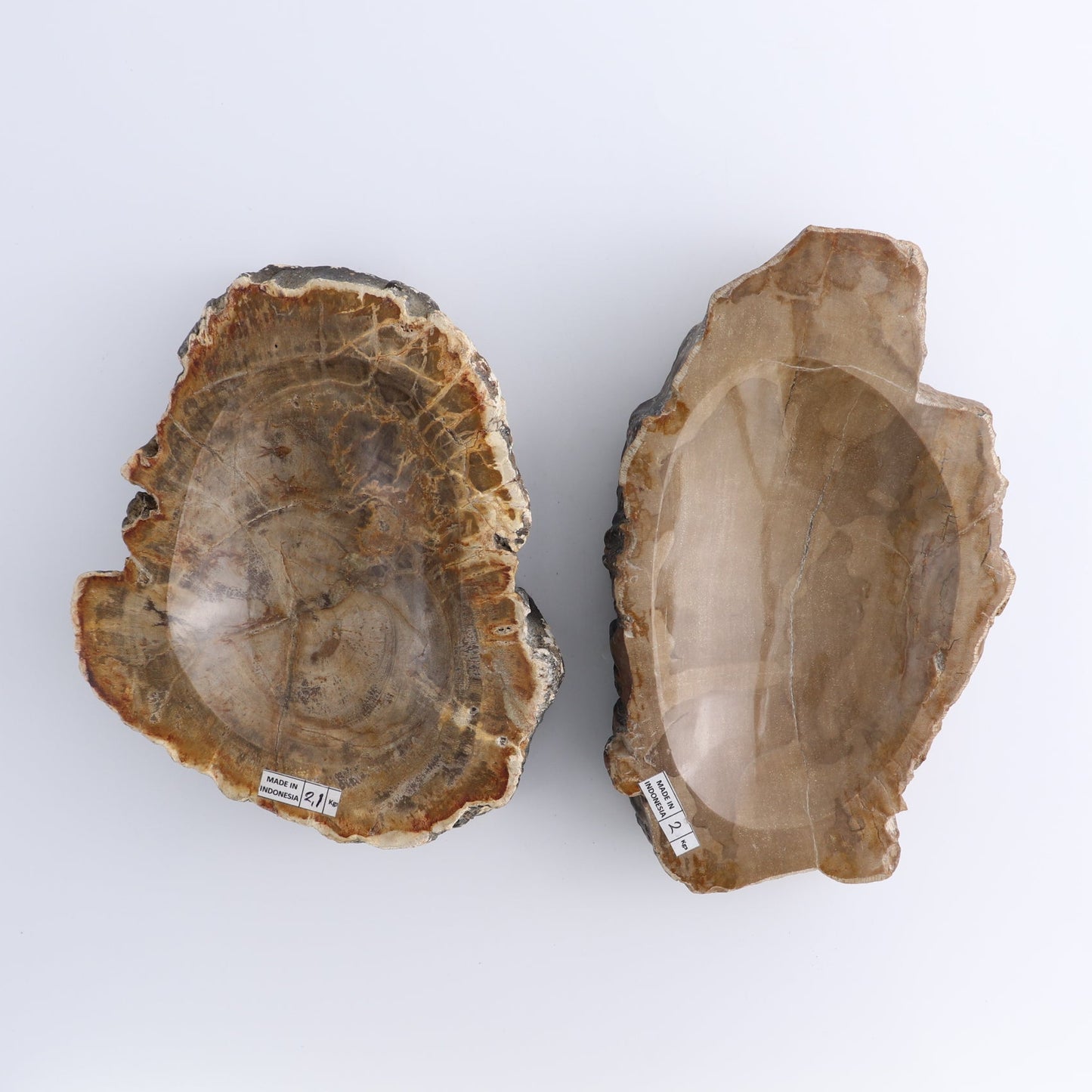 One Small Petrified Wood Brown Rough Bowl