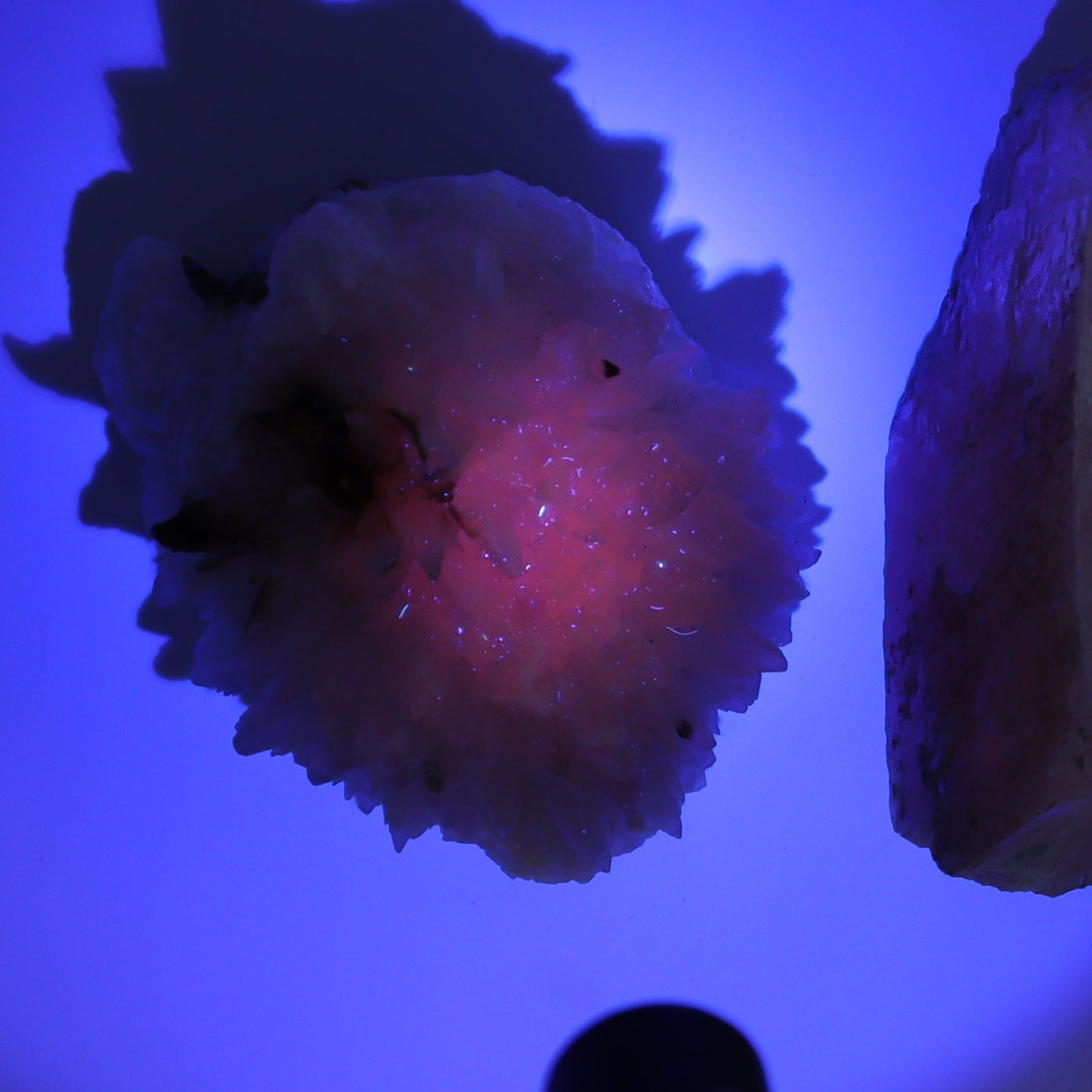 UV Reactive Calcite Flat Set of 12 - Expert Wholesale and Supplier of Wholesale Crystals & Bulk Gemstones, ["Calcite","Freeform","Freeforms","Mexico"]