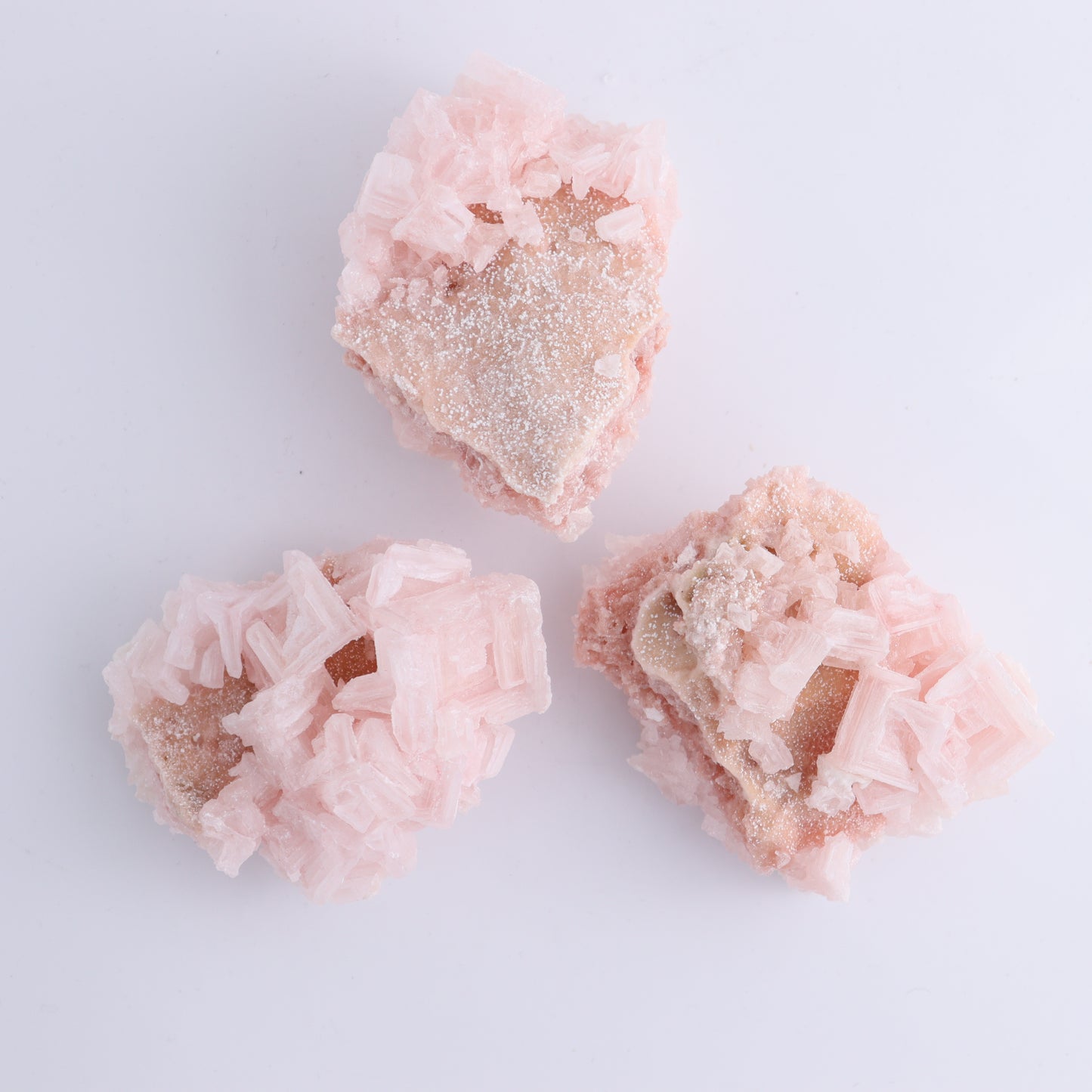Halite Flat of 5 - Expert Wholesale and Supplier of Wholesale Crystals & Bulk Gemstones, ["Flats","Halite","United States"]