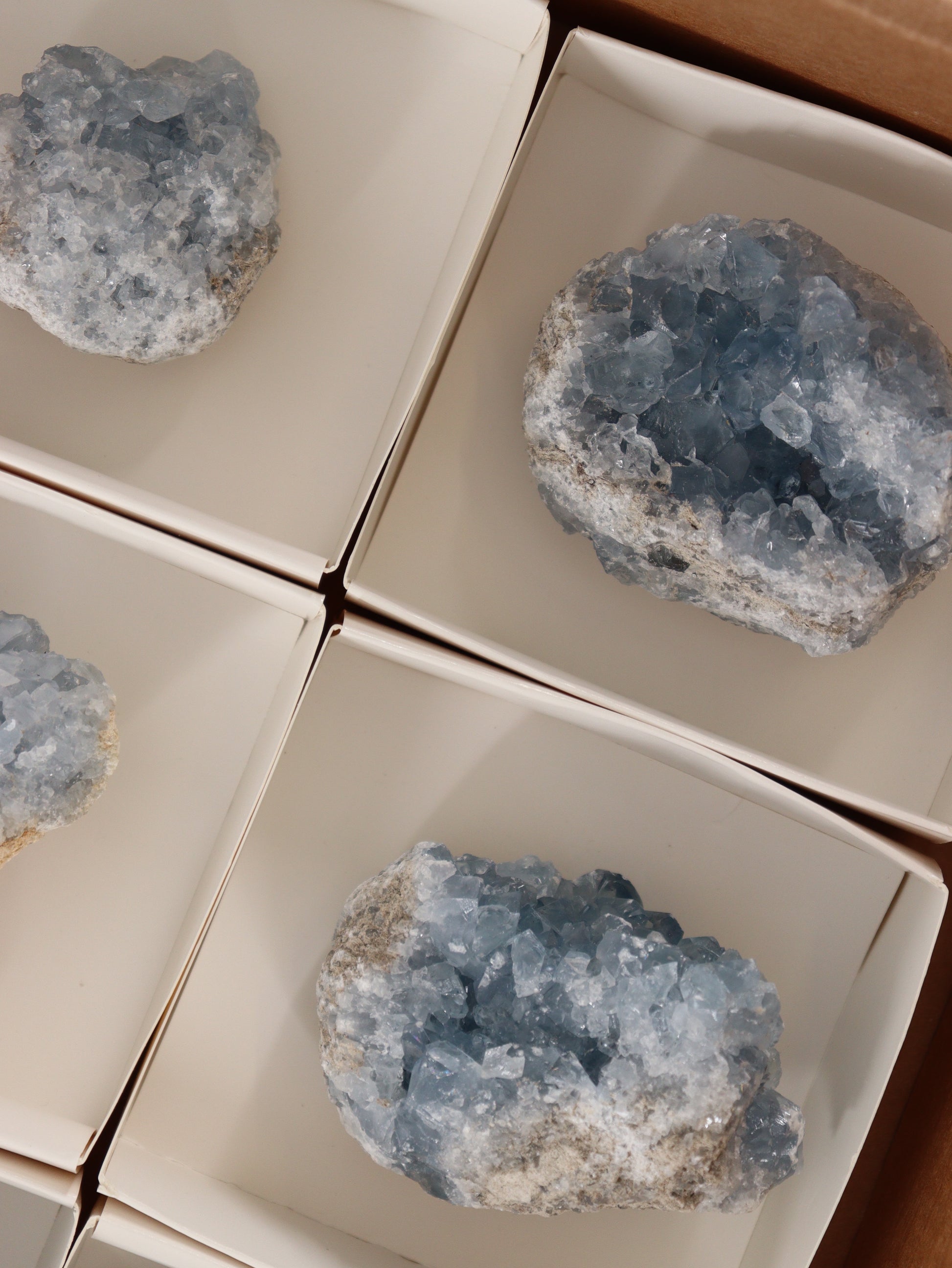 Celestite Clusters Set of 6 - Expert Wholesale and Supplier of Wholesale Crystals & Bulk Gemstones, []