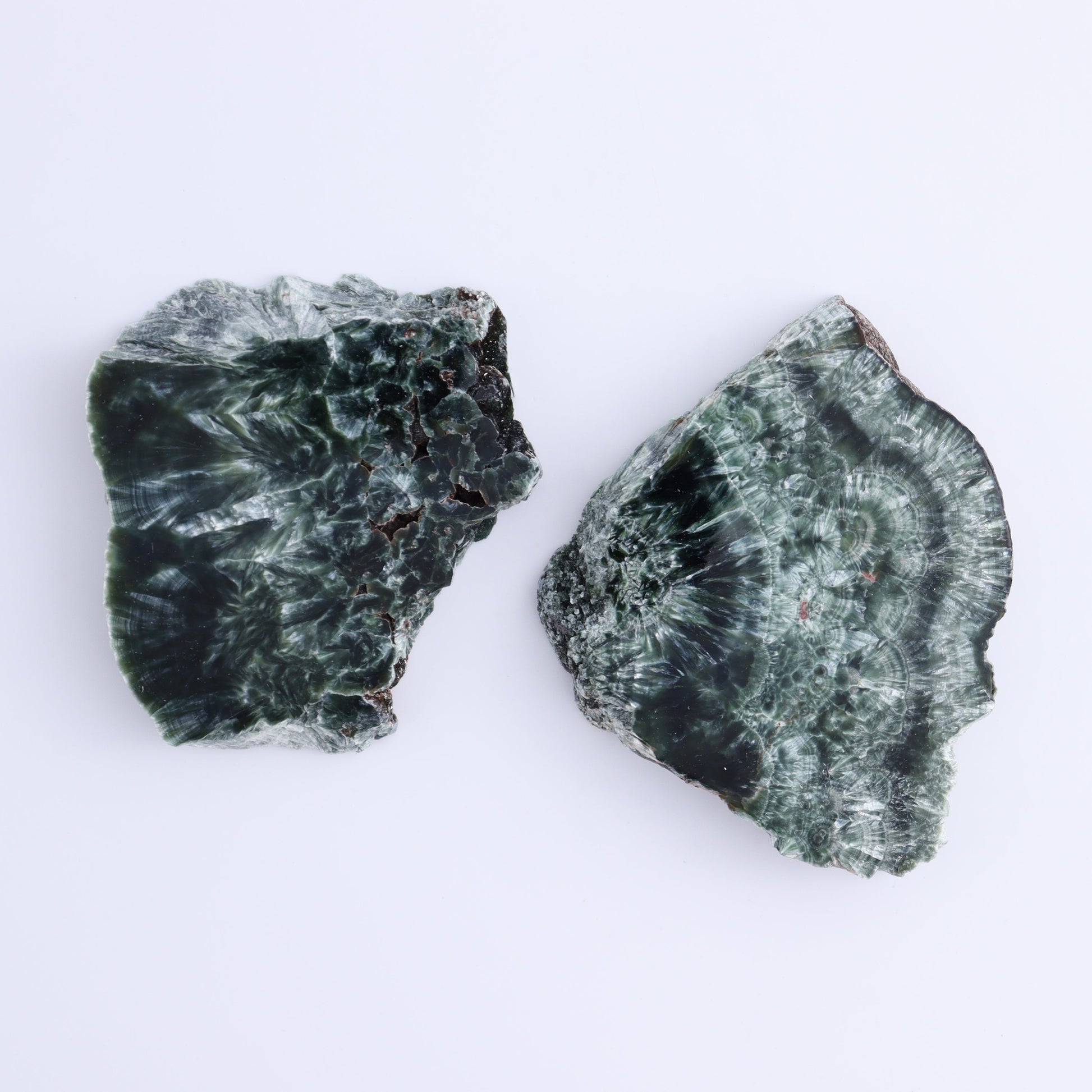 Seraphinite Slices Set of 6 - Expert Wholesale and Supplier of Wholesale Crystals & Bulk Gemstones, ["Russia","Seraphinite","Slices and Slabs"]