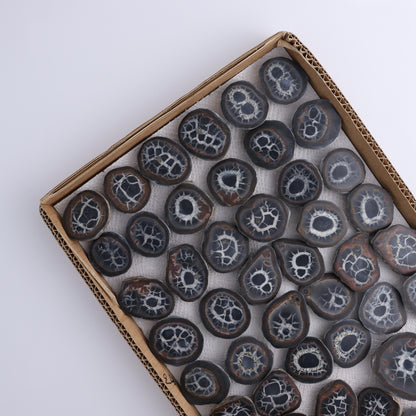 Septarian Geodes Flat - Expert Wholesale and Supplier of Wholesale Crystals & Bulk Gemstones, ["Geodes","Septarian"]