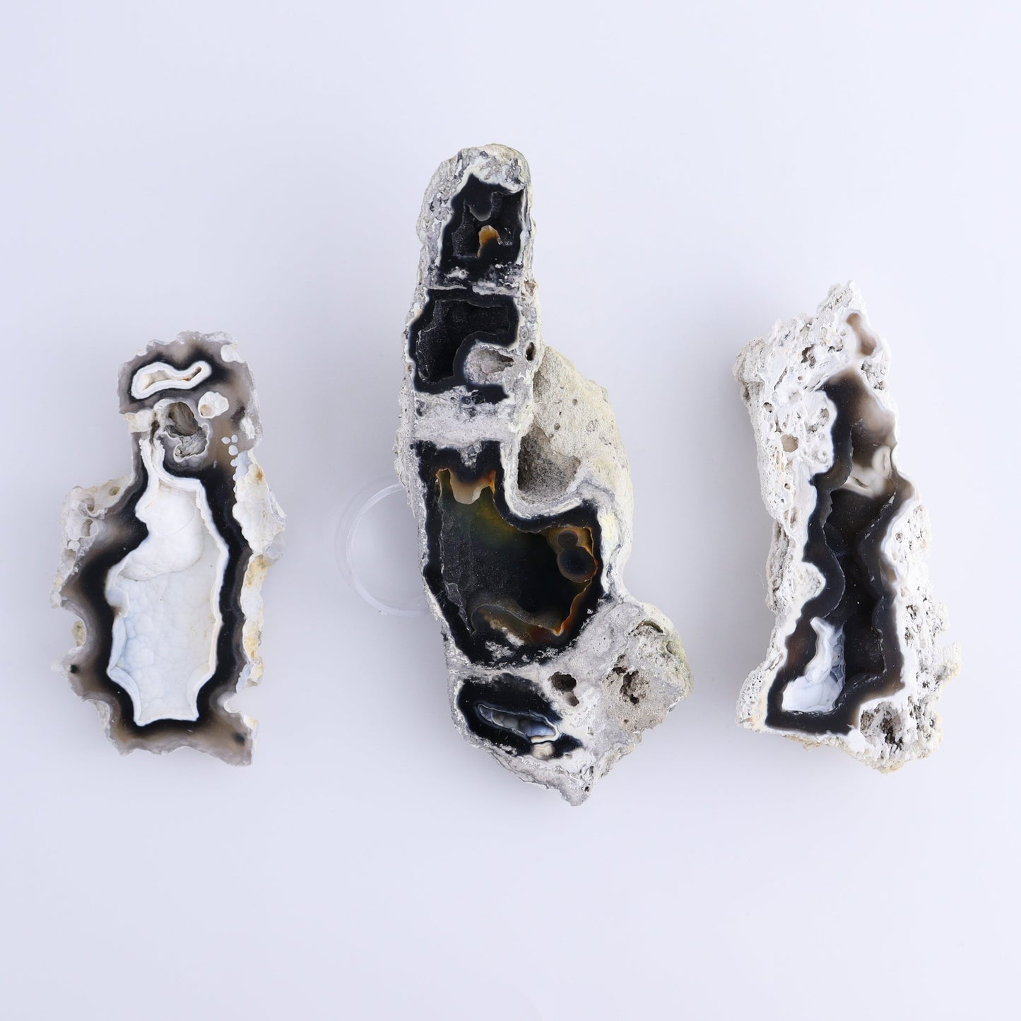 Agatized Coral Flat - Expert Wholesale and Supplier of Wholesale Crystals & Bulk Gemstones, ["Agate","Agatized Coral","Coral","United States"]
