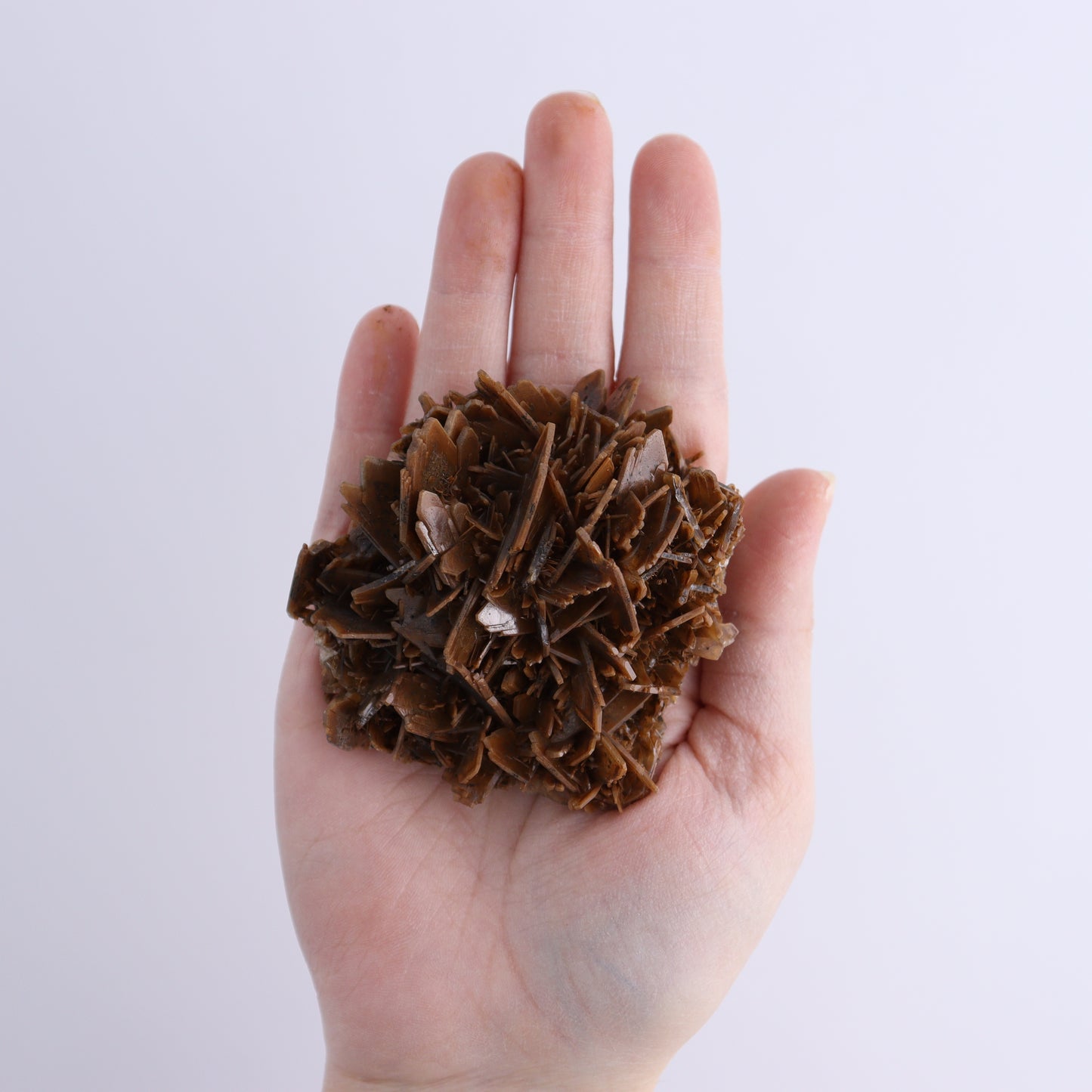 Barite Flat from Morocco - Expert Wholesale and Supplier of Wholesale Crystals & Bulk Gemstones, ["Barite","Flats","Morocco"]