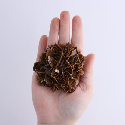 Barite Flat from Morocco - Expert Wholesale and Supplier of Wholesale Crystals & Bulk Gemstones, ["Barite","Flats","Morocco"]