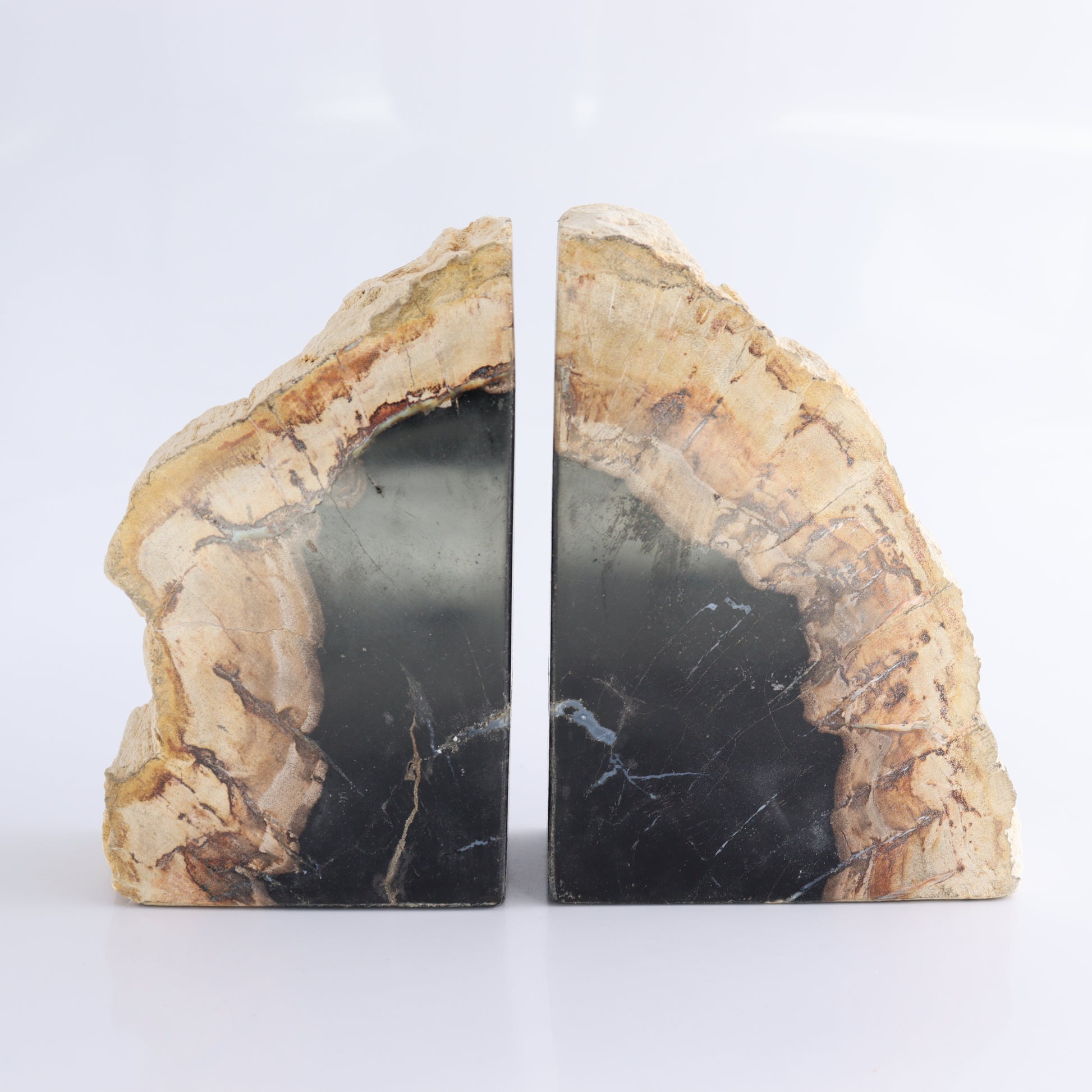 Bookends Petrified Wood - Expert Wholesale and Supplier of Wholesale Crystals & Bulk Gemstones, ["Bookends","Indonesia","Petrified Wood"]