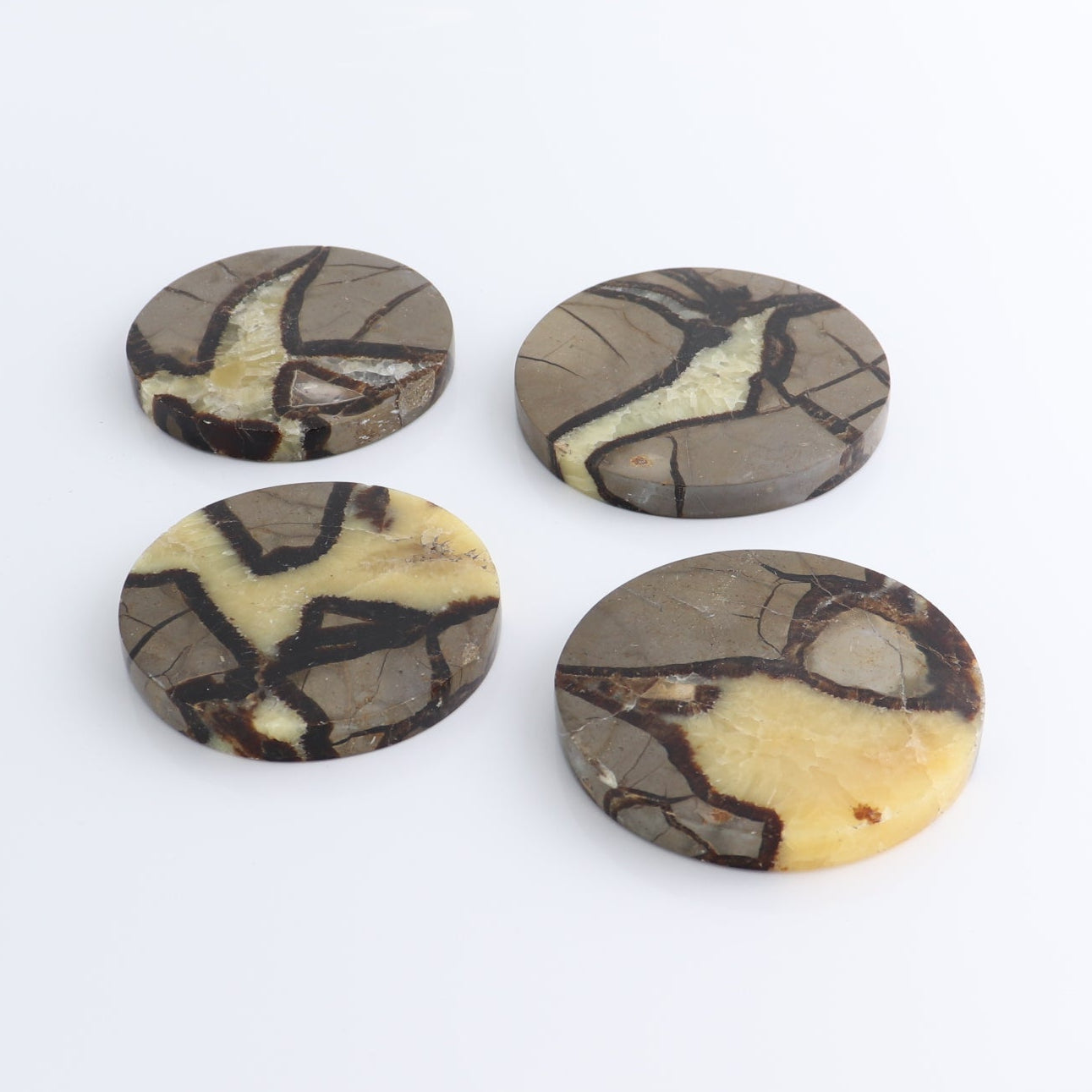 Septarian Coaster Set of 4