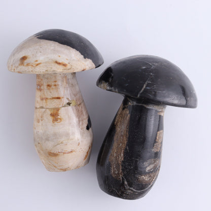 Petrified Wood Mushrooms Set of 4 - Expert Wholesale and Supplier of Wholesale Crystals & Bulk Gemstones, ["Indonesia","Mushrooms","Petrified Wood"]
