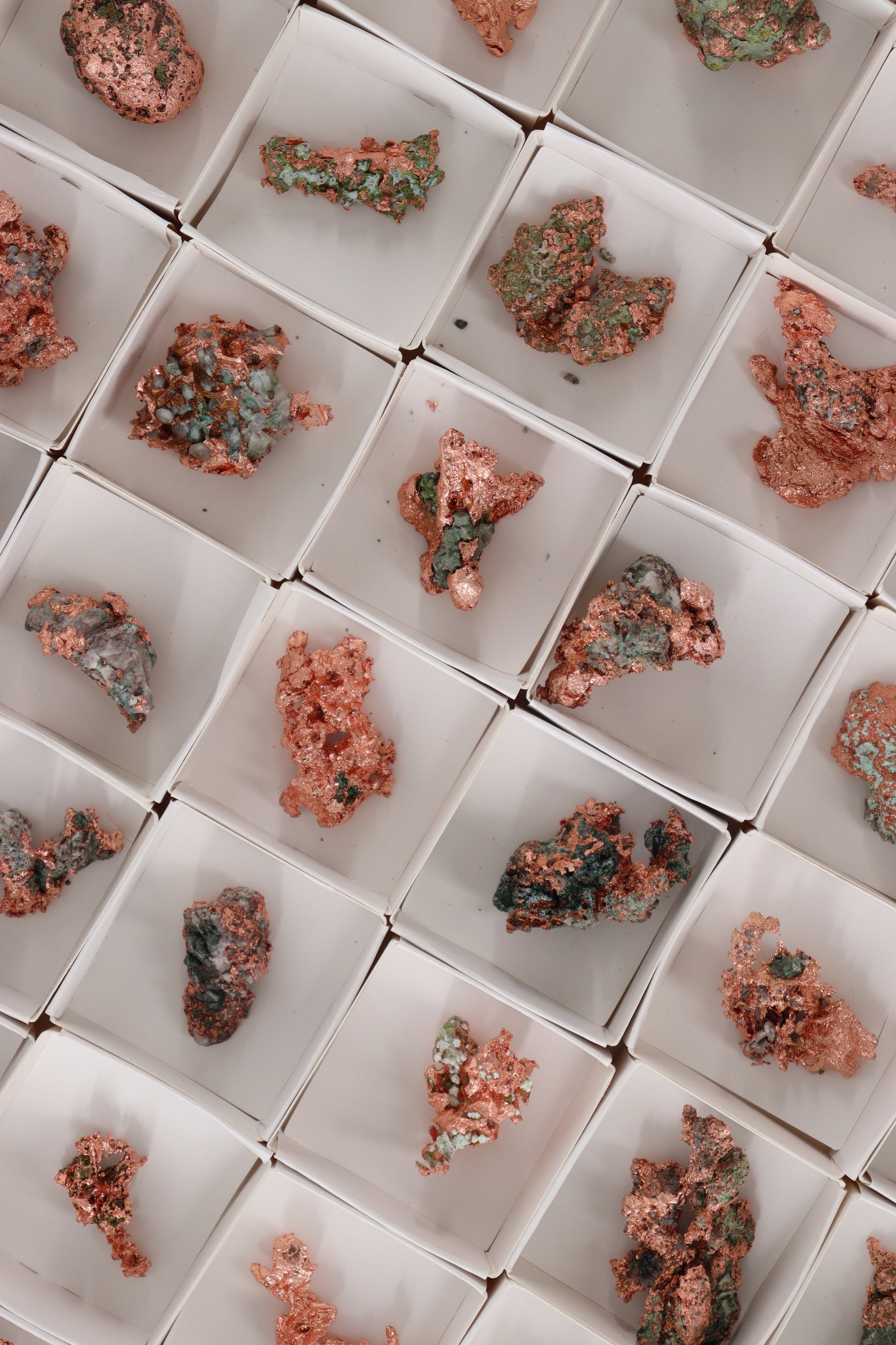 Native Copper 54pc Flat from Michigan - Expert Wholesale and Supplier of Wholesale Crystals & Bulk Gemstones, []