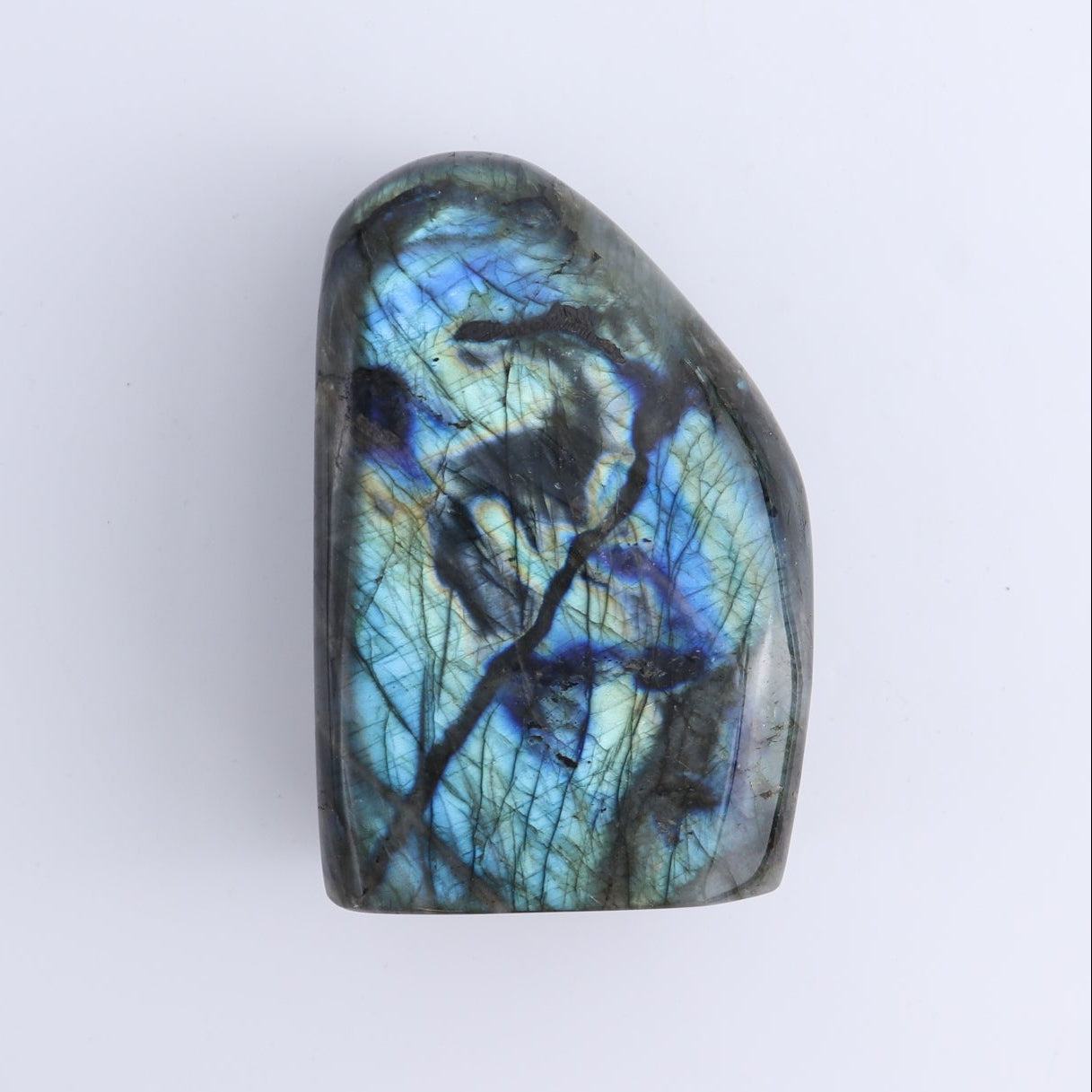 Labradorite Freeform Set of 7