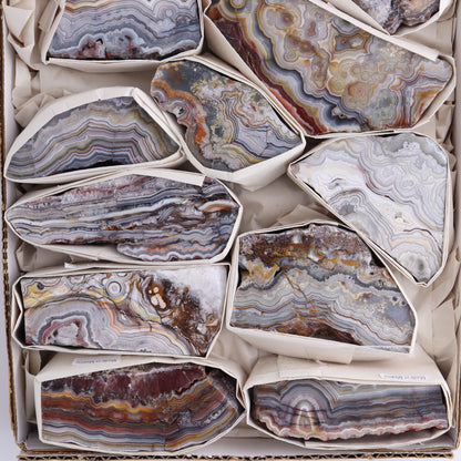 Crazy Lace Agate Flat of 12 - Expert Wholesale and Supplier of Wholesale Crystals & Bulk Gemstones, ["Crazy Lace Agate","Mexico"]