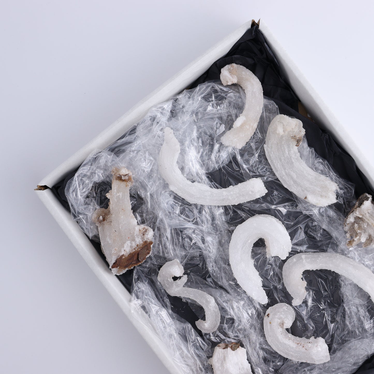 Rams Horn Selenite Set of 10 - Expert Wholesale and Supplier of Wholesale Crystals & Bulk Gemstones, ["Freeform","Freeforms","selenite"]