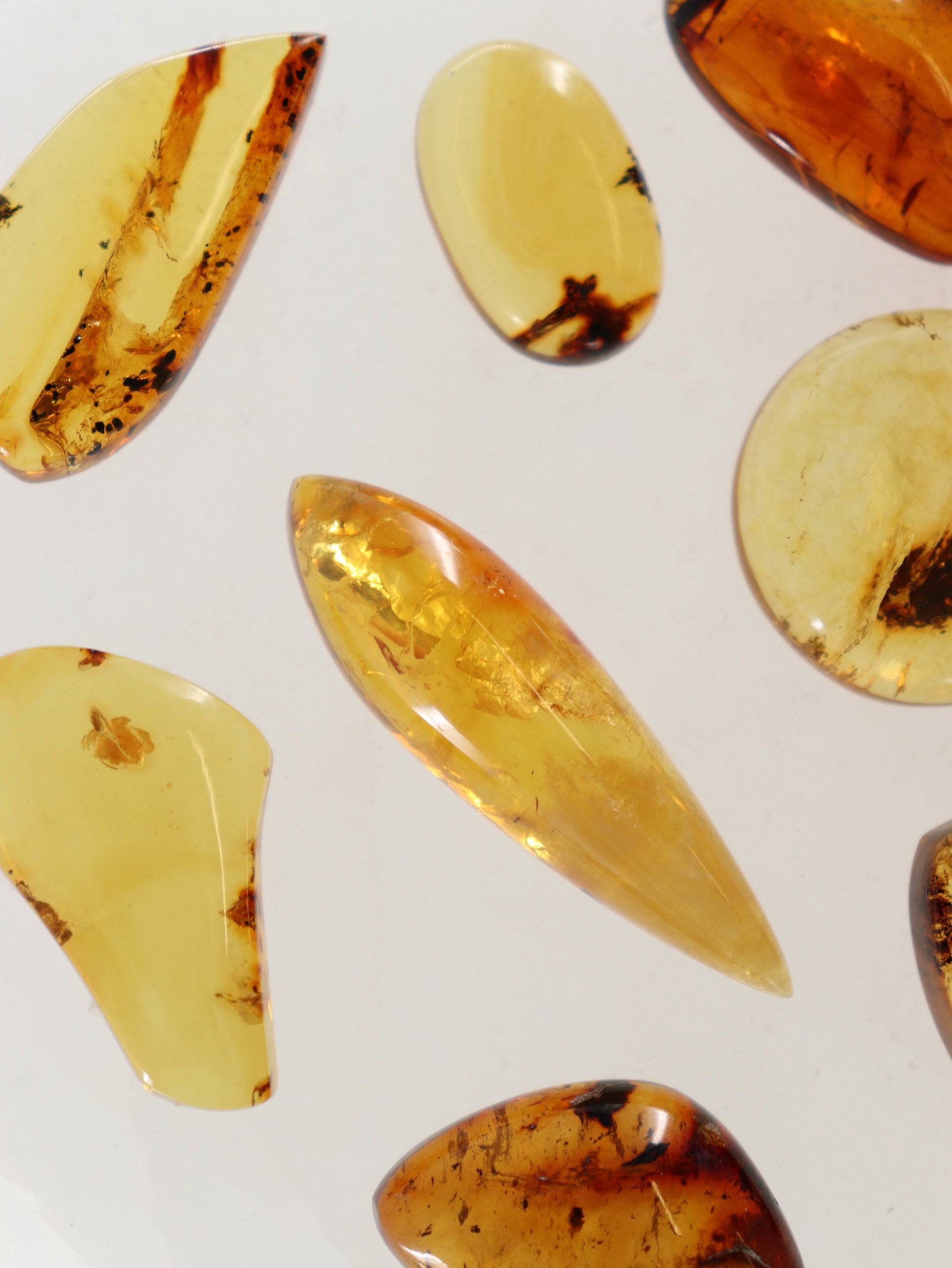 Chiapas Amber Cabs Set of 8 - Expert Wholesale and Supplier of Wholesale Crystals & Bulk Gemstones, ["Chiapas Amber","Mexico","Shapes"]