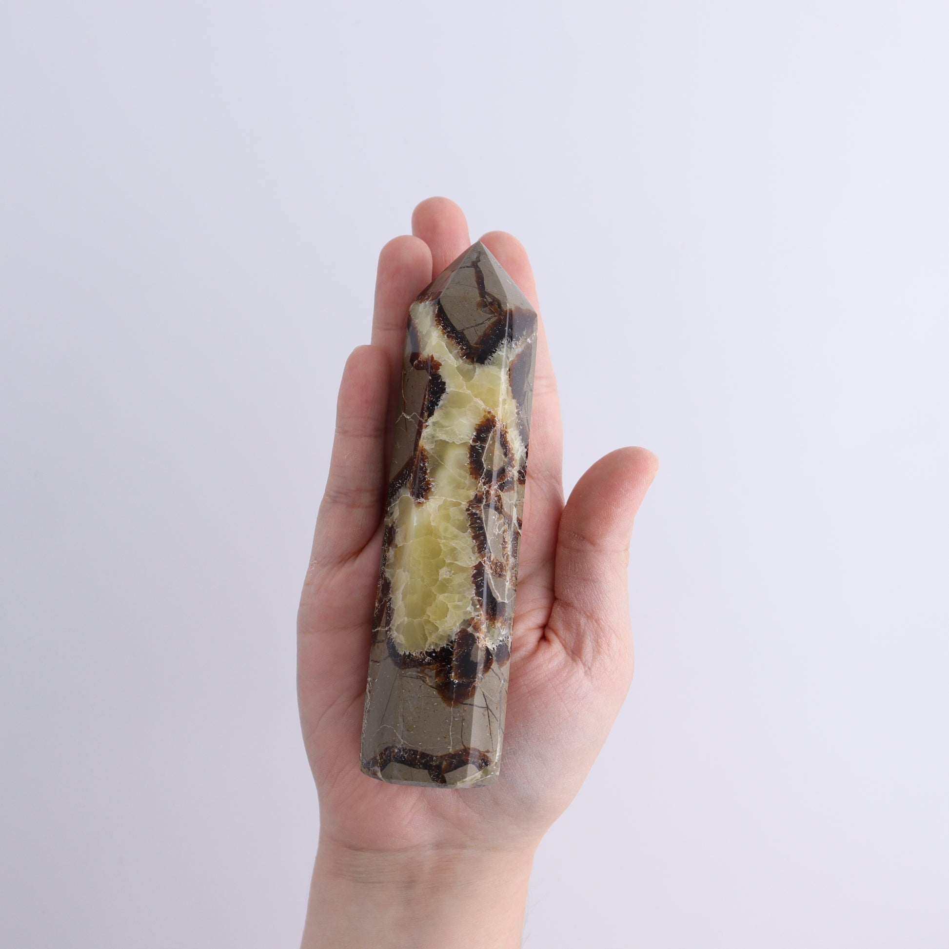 Septarian Towers Set of 9 - Expert Wholesale and Supplier of Wholesale Crystals & Bulk Gemstones, ["Madagascar","Septarian","Towers"]