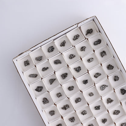 Campo del Cielo Meteorites from Argentina, Flat of 54 - Expert Wholesale and Supplier of Wholesale Crystals & Bulk Gemstones, ["Argentina","Flats","Meteorite"]