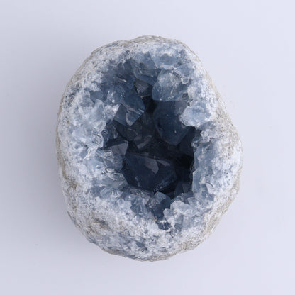 Celestite Clusters Set of 8 - Expert Wholesale and Supplier of Wholesale Crystals & Bulk Gemstones, ["Celestite","Freeform"]