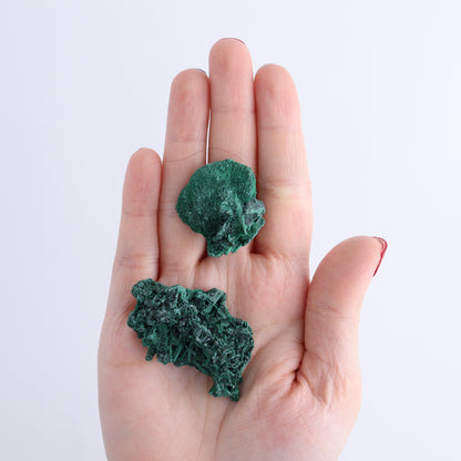 Fibrous Malachite Freeforms Set of 35 - Expert Wholesale and Supplier of Wholesale Crystals & Bulk Gemstones, ["Congo","Fibrous Malachite","Freeform","Malachite"]