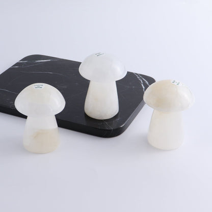 One Mushroom Mexican Onyx/Calcite White