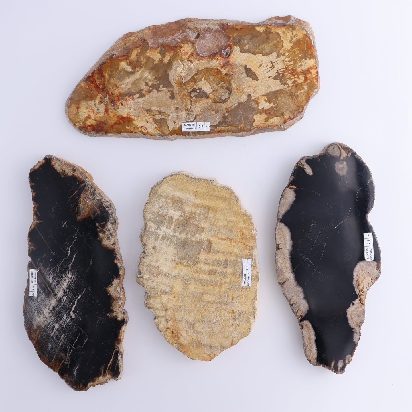 Petrified Wood Slices & Slabs Set of 4 - Expert Wholesale and Supplier of Wholesale Crystals & Bulk Gemstones, ["Freeforms","Indonesia","Petrified Wood","Slices and Slabs"]