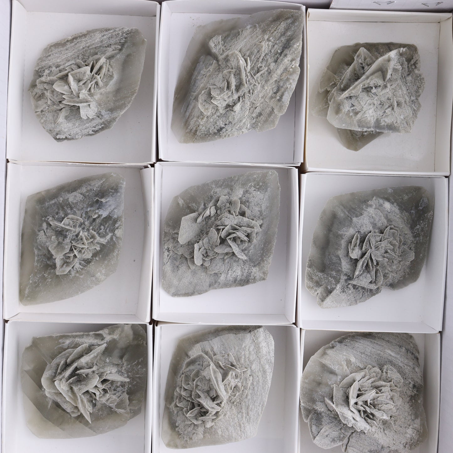 Selenite Clusters Set of 12