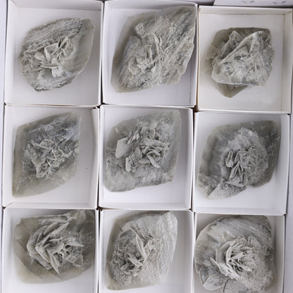 Selenite Clusters Set of 12