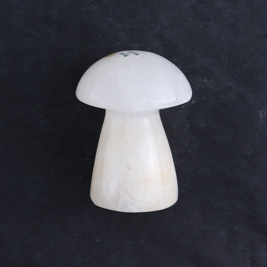 One Mushroom Mexican Onyx/Calcite White
