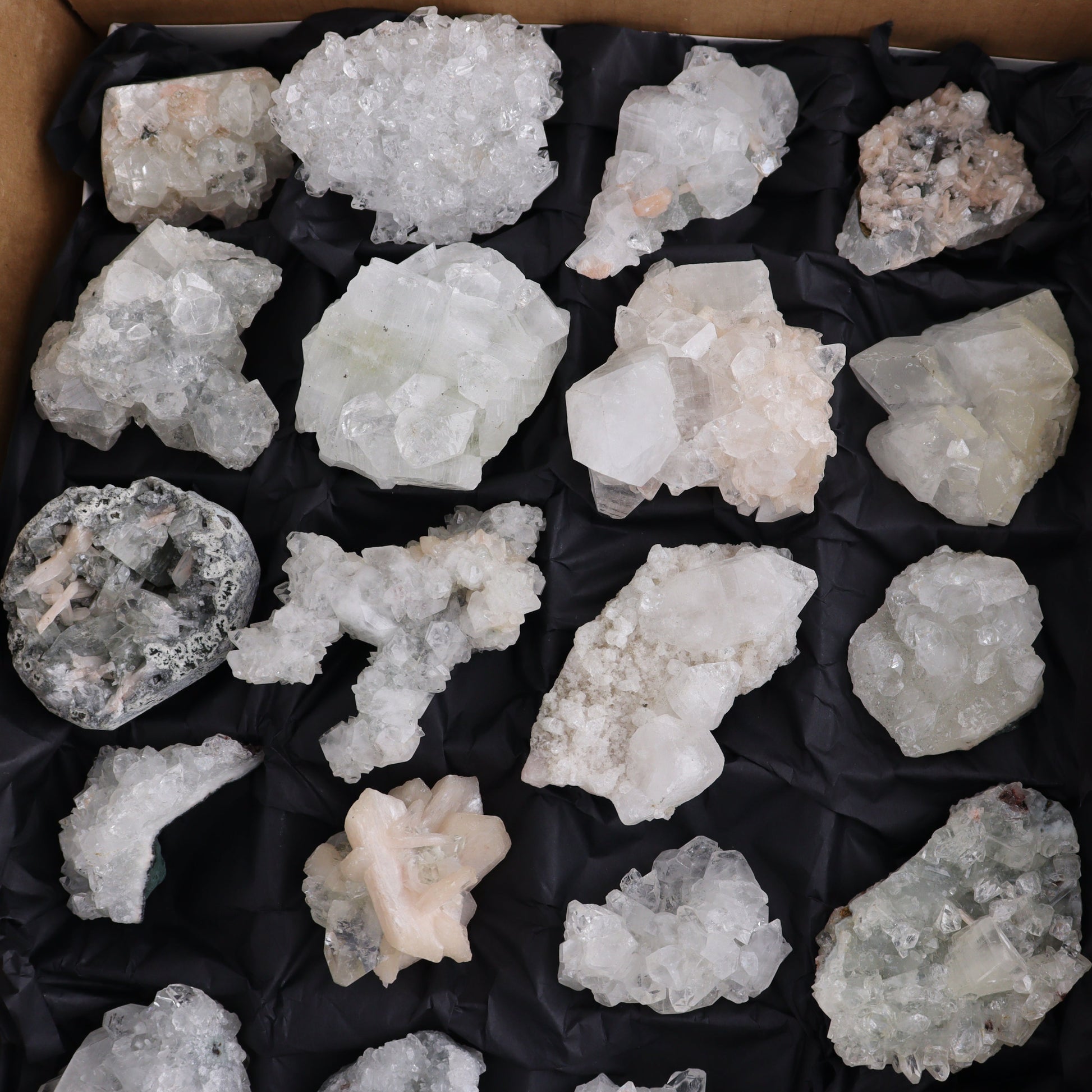 Apophyllite Clusters Flat of 24 - Expert Wholesale and Supplier of Wholesale Crystals & Bulk Gemstones, ["Apophyllite","close_50","Clusters","Flats"]