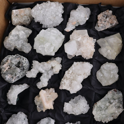 Apophyllite Clusters Flat of 24 - Expert Wholesale and Supplier of Wholesale Crystals & Bulk Gemstones, ["Apophyllite","close_50","Clusters","Flats"]
