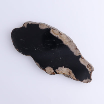 Petrified Wood Slices & Slabs Set of 4 - Expert Wholesale and Supplier of Wholesale Crystals & Bulk Gemstones, ["Freeforms","Indonesia","Petrified Wood","Slices and Slabs"]