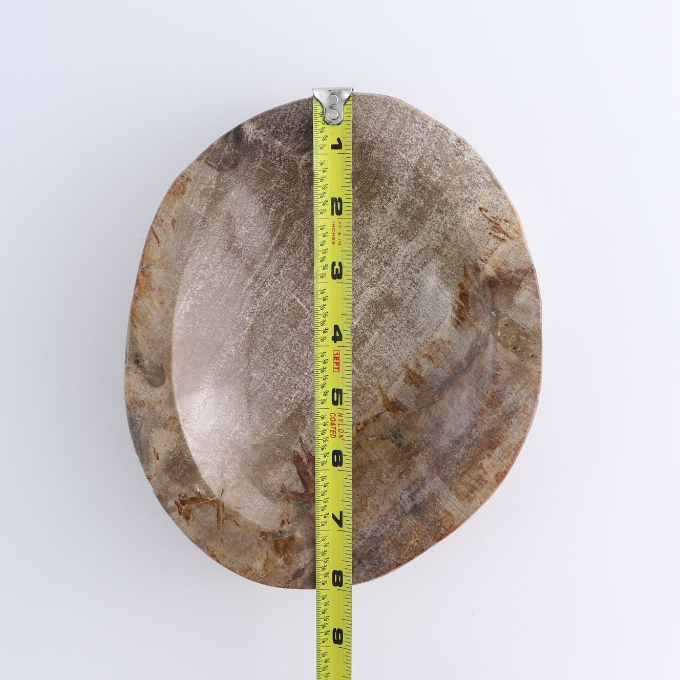 One Petrified Wood Brown Polished Bowl