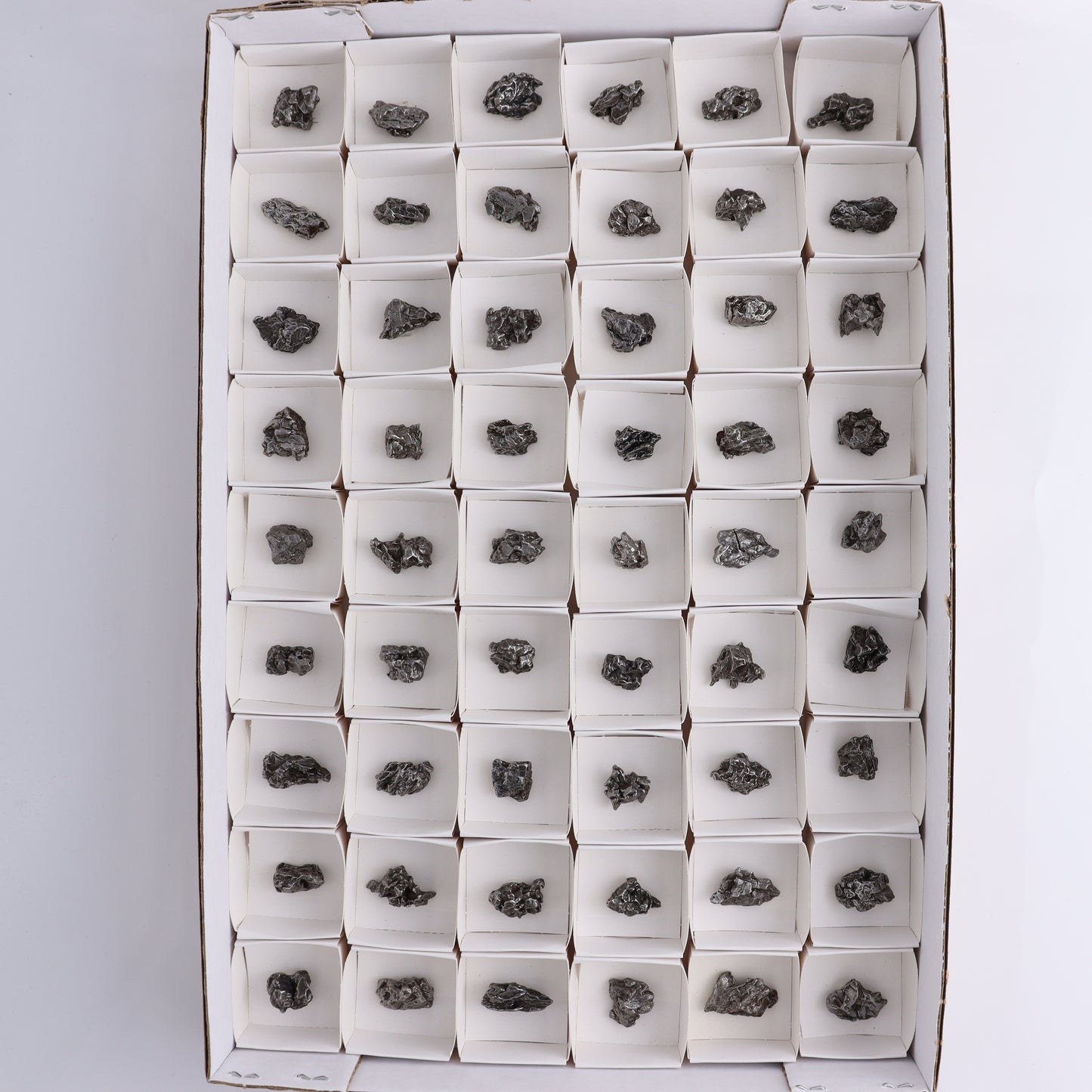 Campo del Cielo Meteorites from Argentina, Flat of 54 - Expert Wholesale and Supplier of Wholesale Crystals & Bulk Gemstones, ["Argentina","Flats","Meteorite"]