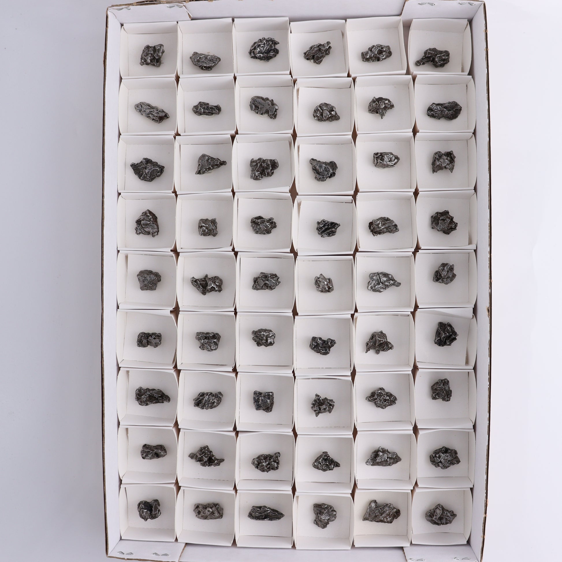 Campo del Cielo Meteorites from Argentina, Flat of 54 - Expert Wholesale and Supplier of Wholesale Crystals & Bulk Gemstones, ["Argentina","Flats","Meteorite"]
