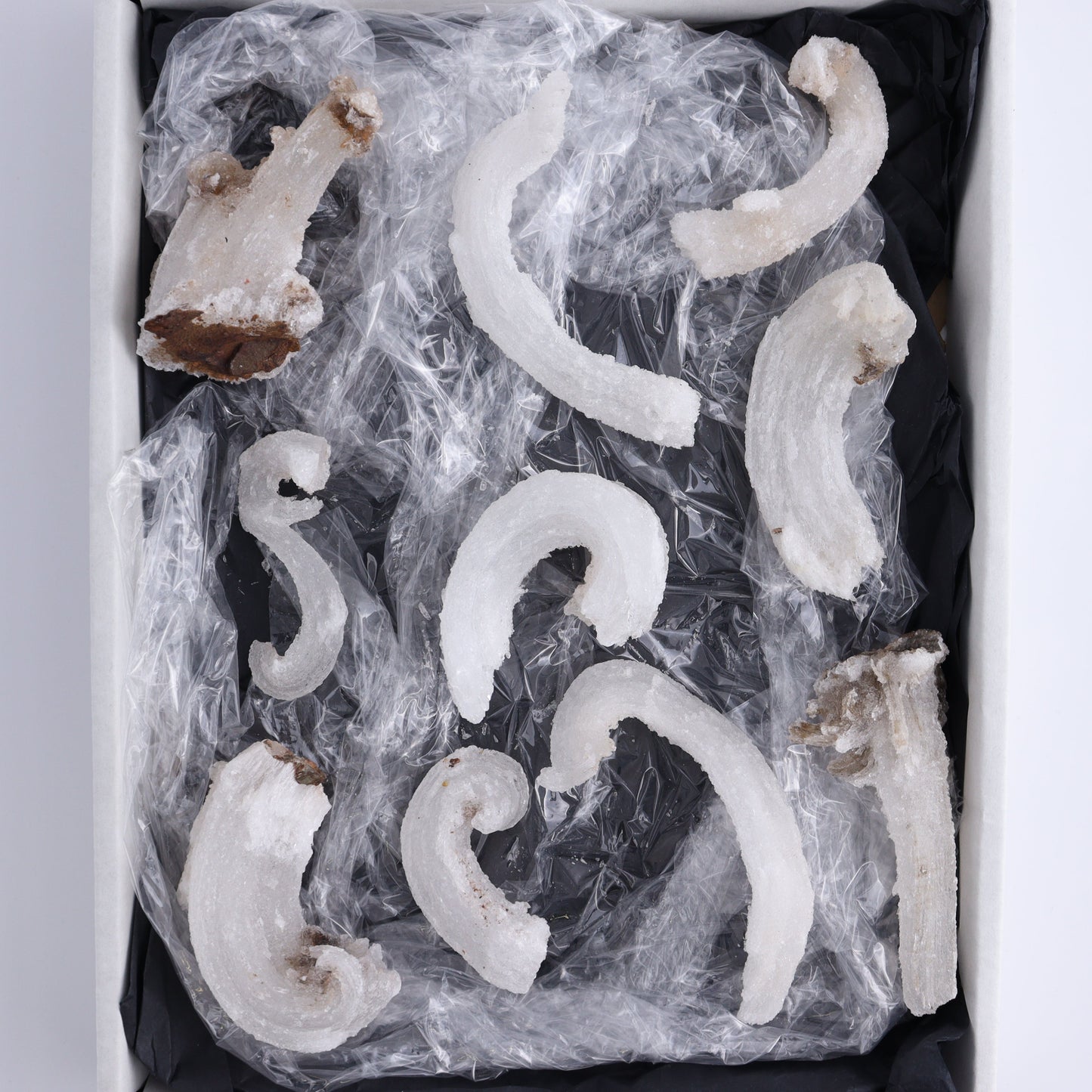 Rams Horn Selenite Set of 10 - Expert Wholesale and Supplier of Wholesale Crystals & Bulk Gemstones, ["Freeform","Freeforms","selenite"]