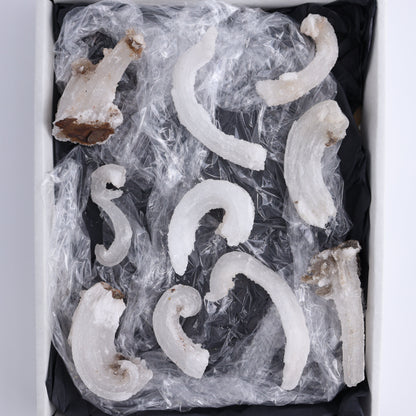 Rams Horn Selenite Set of 10 - Expert Wholesale and Supplier of Wholesale Crystals & Bulk Gemstones, ["Freeform","Freeforms","selenite"]