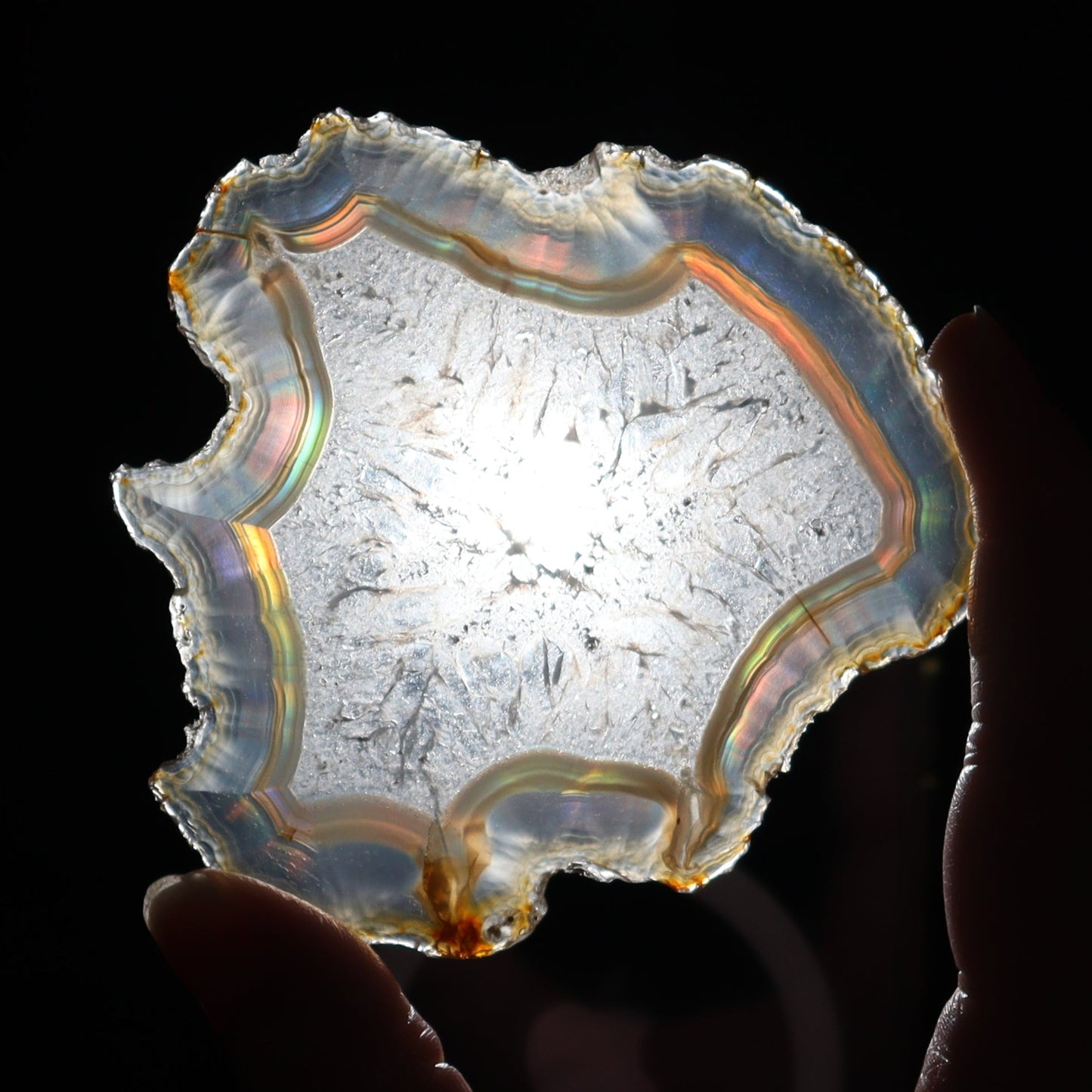 Iris Agate Slices Set of 6 - Expert Wholesale and Supplier of Wholesale Crystals & Bulk Gemstones, ["Agate","Iris Agate","Slices and Slabs"]