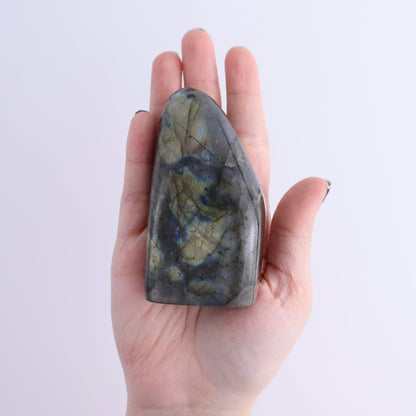 Labradorite Freeform Set of 7 - Expert Wholesale and Supplier of Wholesale Crystals & Bulk Gemstones, ["Freeforms","Labradorite","Madagascar"]