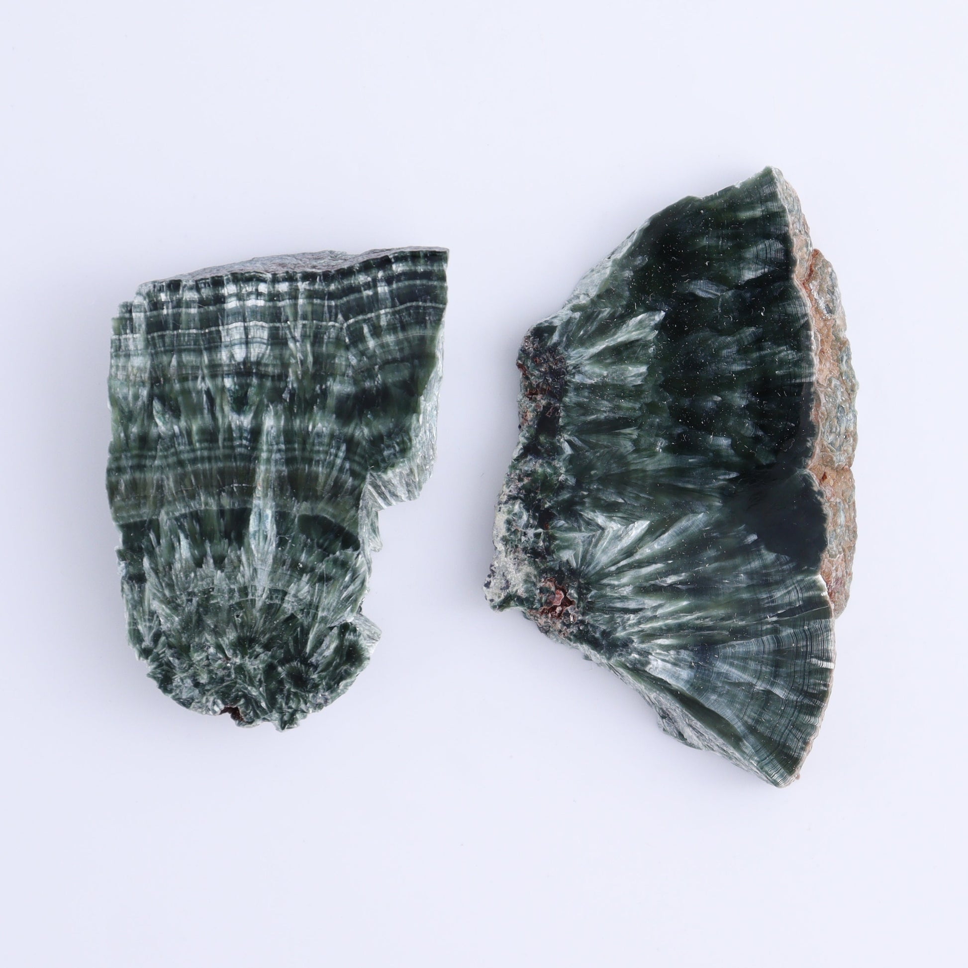 Seraphinite Slices Set of 6 - Expert Wholesale and Supplier of Wholesale Crystals & Bulk Gemstones, ["Russia","Seraphinite","Slices and Slabs"]
